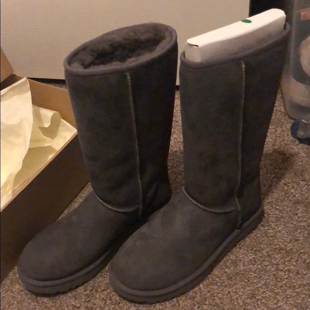 Tall Grey Uggs